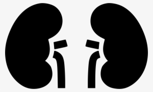 Kidneys Comments - Nephrology Vector #2027886