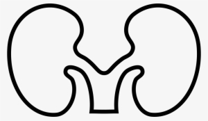 Font Kidney Comments - Kidney Png Icon White #2028117