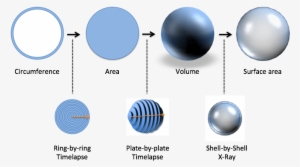 Https - //betterexplained - - Circle #2028267