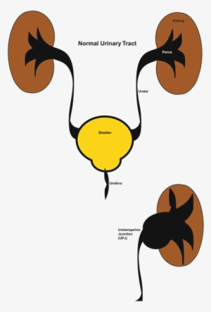 Upj - Clip Art #2028283