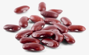 Slimming World Food Optimising Book 2016 #2028286