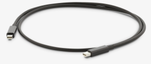 En - Replacement Pull Out Tap Hose #2028892