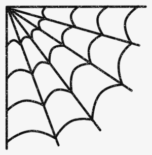 Spider Web Png Download - Telaraña En Una Esquina #2029841