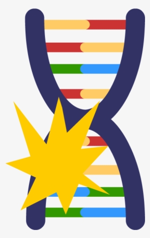 Genetic Mutations - Dna Mutation Icon #2030237