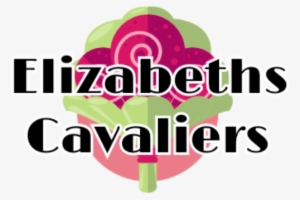 Pets 4 You - Cavalier King Charles Spaniel #2030748