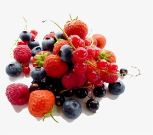 Fruits Of The Forrest - Low Carb Food Chart #2030795