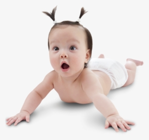 Baby - Arshiner Baby Toy Pop Up Animals Educational Early #2031597 Baby - Arshiner Baby Toy Pop Up Animals Educational Early #2031597
