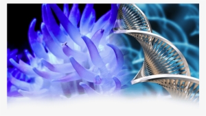 Thursday - Biotechnology Lactose Free Milk #2031640