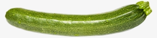 Free Png Zucchini Png Images Transparent - Zucchini Png #2031831