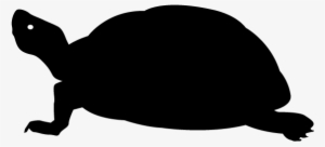 View All Images-1 - カメ イラスト シルエット フリー #2032387