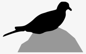 Columbidae Bird Mourning Dove European Turtle Dove - ภาพ เงา สัตว์ กราฟฟิก #2032467