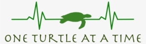 Green Sea Turtle #2032469