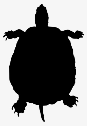 Download Png - Green Turtle Shower Curtain #2032578