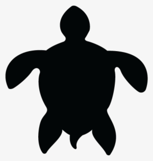 Make Sure You Sea Your Screen - Screen Door #2032783