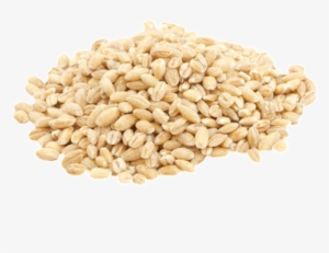 Barley Png Photo - Food To Live Pearl Barley (hulled) (10 Pounds) #2033936