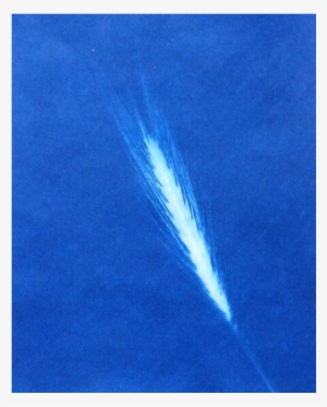 I - Sea #2034230 I - Sea #2034230