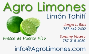 Limones En Puerto Rico #2034254