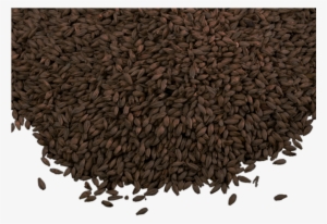 Briess Roasted Barley 1 Oz - Malt #2034345