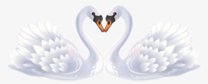 Valentine Swans Png Clipart - Heart Swan Clipart #2034970