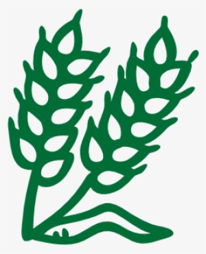 Summit Brewing Company #2035050