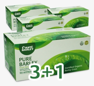 Sante Barley Grass New Zealand Product Pure Barley - Sante Barley Pure Barley #2035151