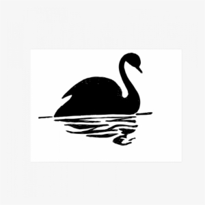 Calm Mystic Black Swan With Its Reflection In Water - Black Swan Animal Cartoon #2035216