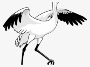 Swan Clipart Standing - Whooping Crane Clip Art #2035236