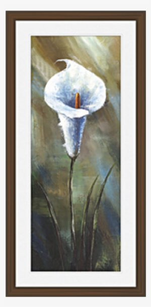Picture Frame #2035310