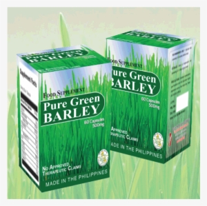 Barley Grass Is Rich In Vitamins A, C, B1, B2, Folic - Health #2035316