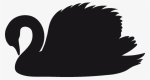 Download - Black And White Swan Png #2035650