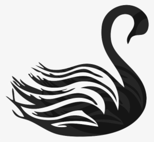 Swan Transparent Black Png Free - Transparent Black Swan #2035671