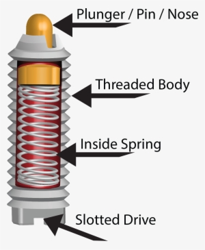 Spring Plunger Diagram - Inside A Ball Spring Plunger #2036706