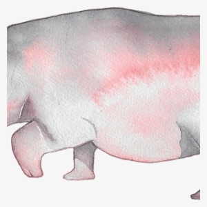 Hippopotamus #2038591