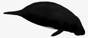 Dwarf Manatee - Whale #2038746