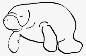Manatee Clipart On Behance - Manatee Clipart #2038990