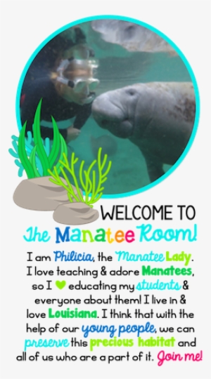 The Manatee Room - Manatee #2038991