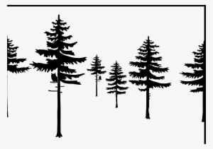 This Free Icons Png Design Of Spruce Trees #2039586