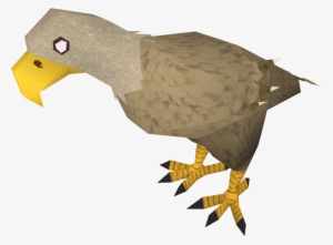 Eagle In The Desert #2041212