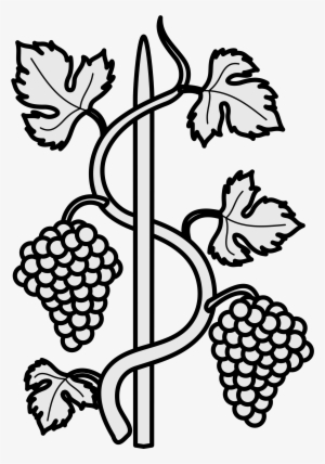 Open - Grape Vine Line Drawing - Free Transparent PNG Download - PNGkey