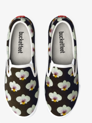 An Orchid Is Born #2041606