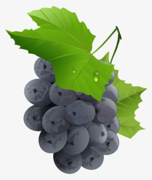 Grapes Transparent Png Clip Art Imageu200b Gallery #2041683