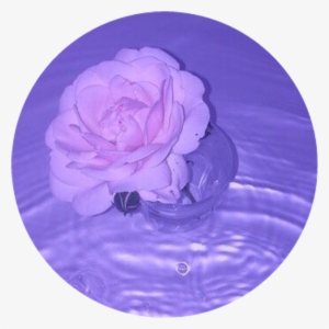 Circle Sticker By - Rose Purple Tumblr Aesthetic #2043003