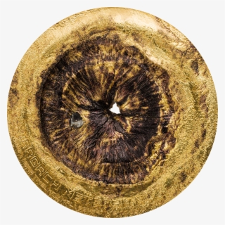 Chergach Meteorite, Cit Coin Invest Trust Ag / B - Chergach #2043451