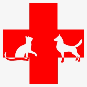 This Free Icons Png Design Of Veterinary First Aid #2044272