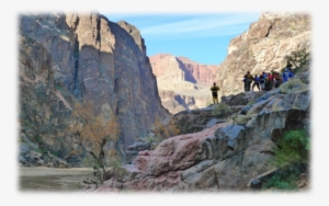 Layer Upon Layer, We Floated On, Paying Attention Only - Canyon #2045238