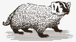 Hamel Family Wines Image - Domestic Abuse Intervention Services #2045508