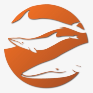 Scotland's Premier Wildlife & Whale Watching Tours - Sealife Surveys #2045553