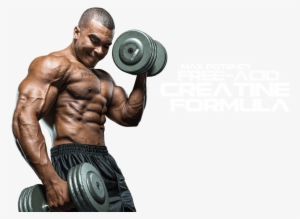 Free Png Muscle Man Png Images Transparent - Bodybuilder Workout Png #2045718