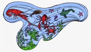 Sea Creatures Marine Life Ocean Animals - Marine Life #2045734