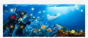 Save Our Seas - Gardaland Sea Life #2045762